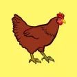 My Chicken Stickers