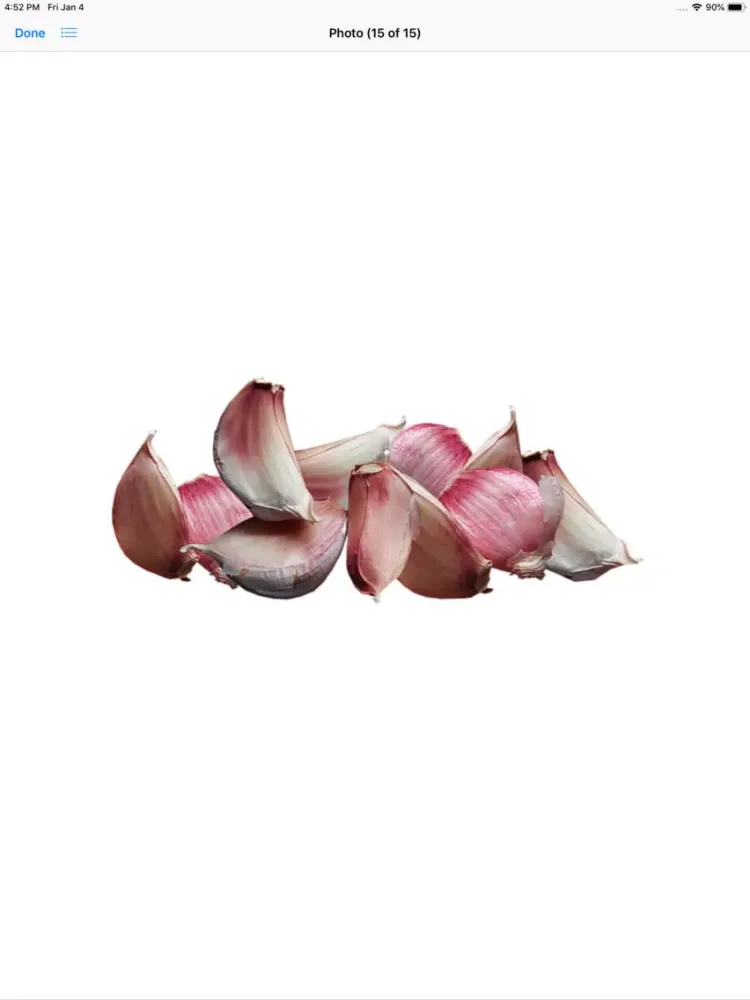 ภาพหน้าจอของ Garlic Stickers iPad 