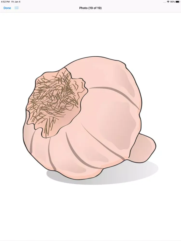ภาพหน้าจอของ Garlic Stickers iPad 
