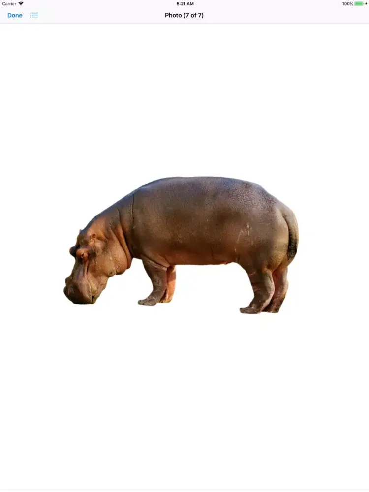 تصاویر My Hippo Sticker Pack iPad 