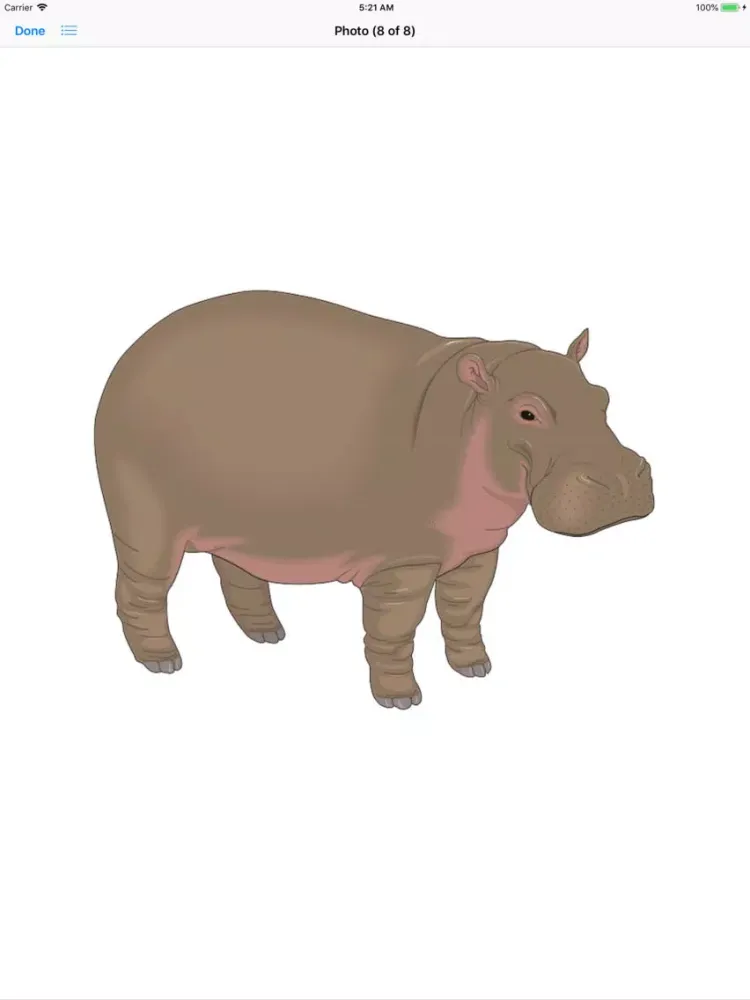 تصاویر My Hippo Sticker Pack iPad 