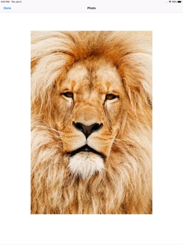 Ảnh chụp màn hình của King of the Jungle Stickers iPad 