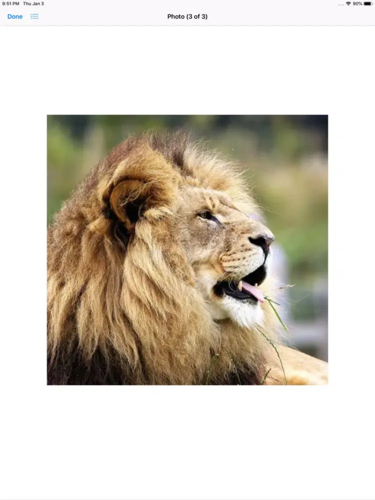 Ảnh chụp màn hình của King of the Jungle Stickers iPad 
