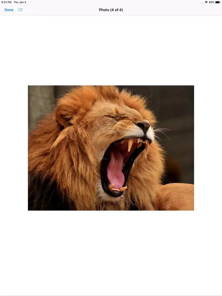 Ảnh chụp màn hình của King of the Jungle Stickers iPad 
