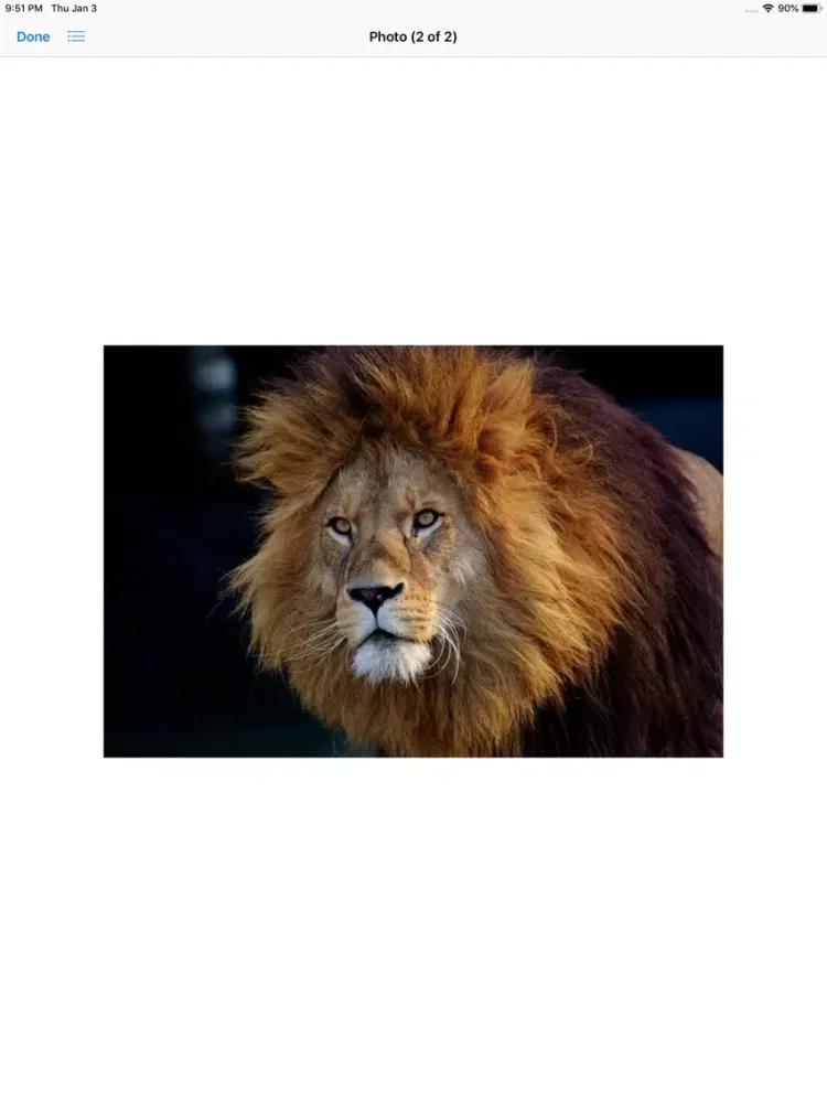 Ảnh chụp màn hình của King of the Jungle Stickers iPad 