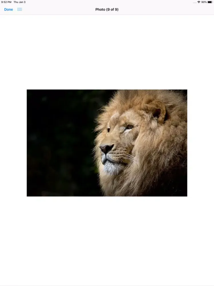 Ảnh chụp màn hình của King of the Jungle Stickers iPad 