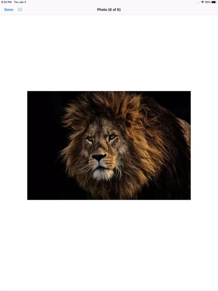 Ảnh chụp màn hình của King of the Jungle Stickers iPad 