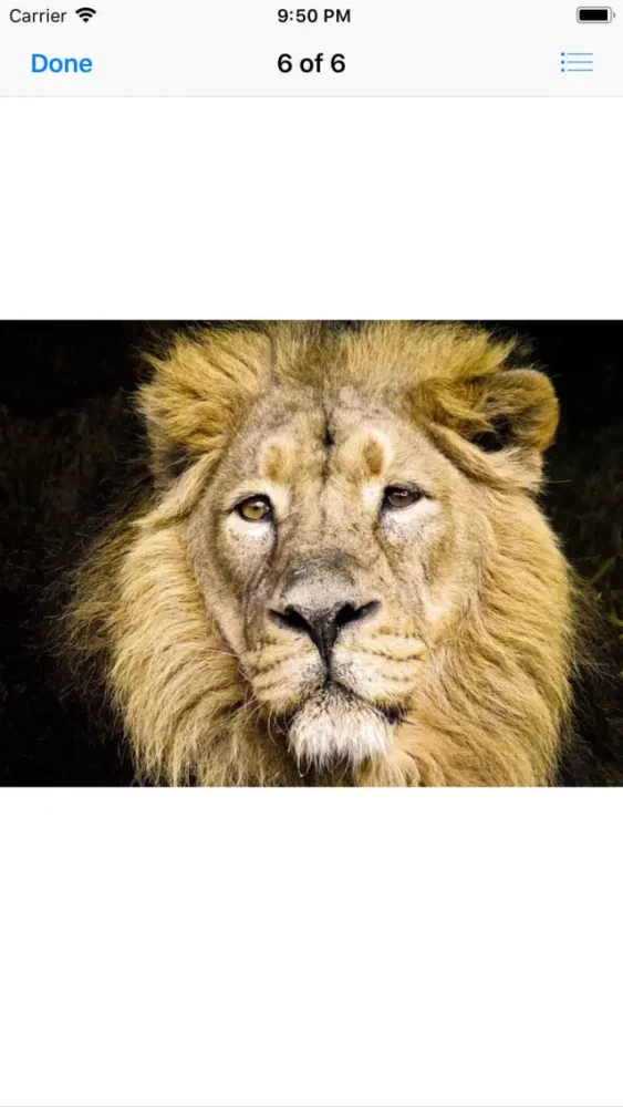 Ảnh chụp màn hình của King of the Jungle Stickers