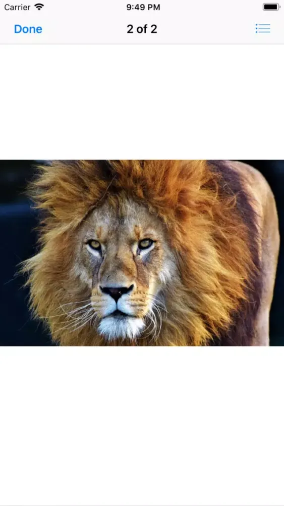 Ảnh chụp màn hình của King of the Jungle Stickers