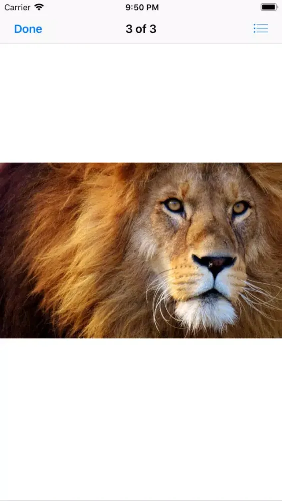 Ảnh chụp màn hình của King of the Jungle Stickers
