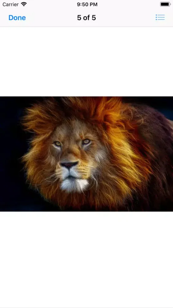 Ảnh chụp màn hình của King of the Jungle Stickers
