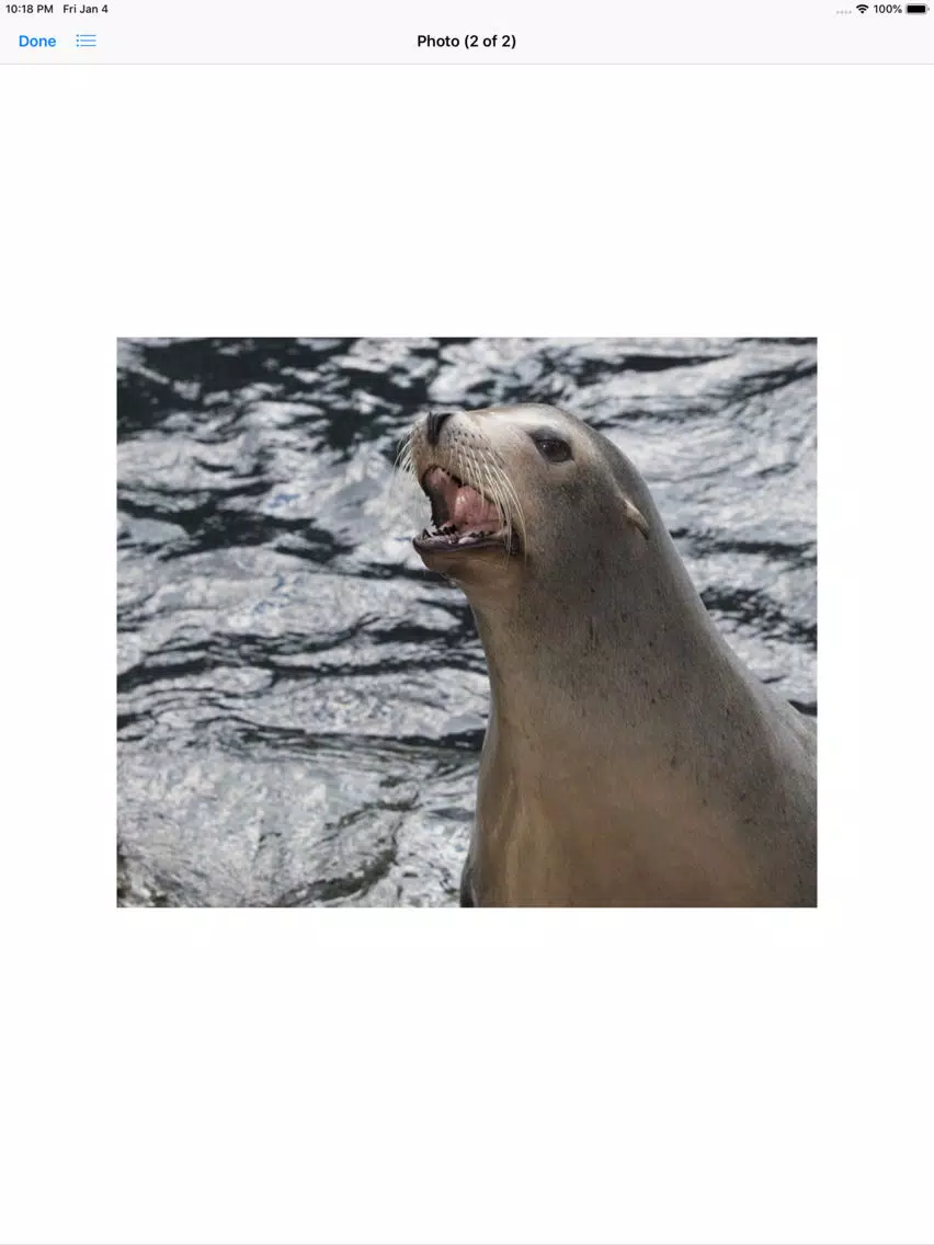 Real Seal Stickers iPad  Screenshots