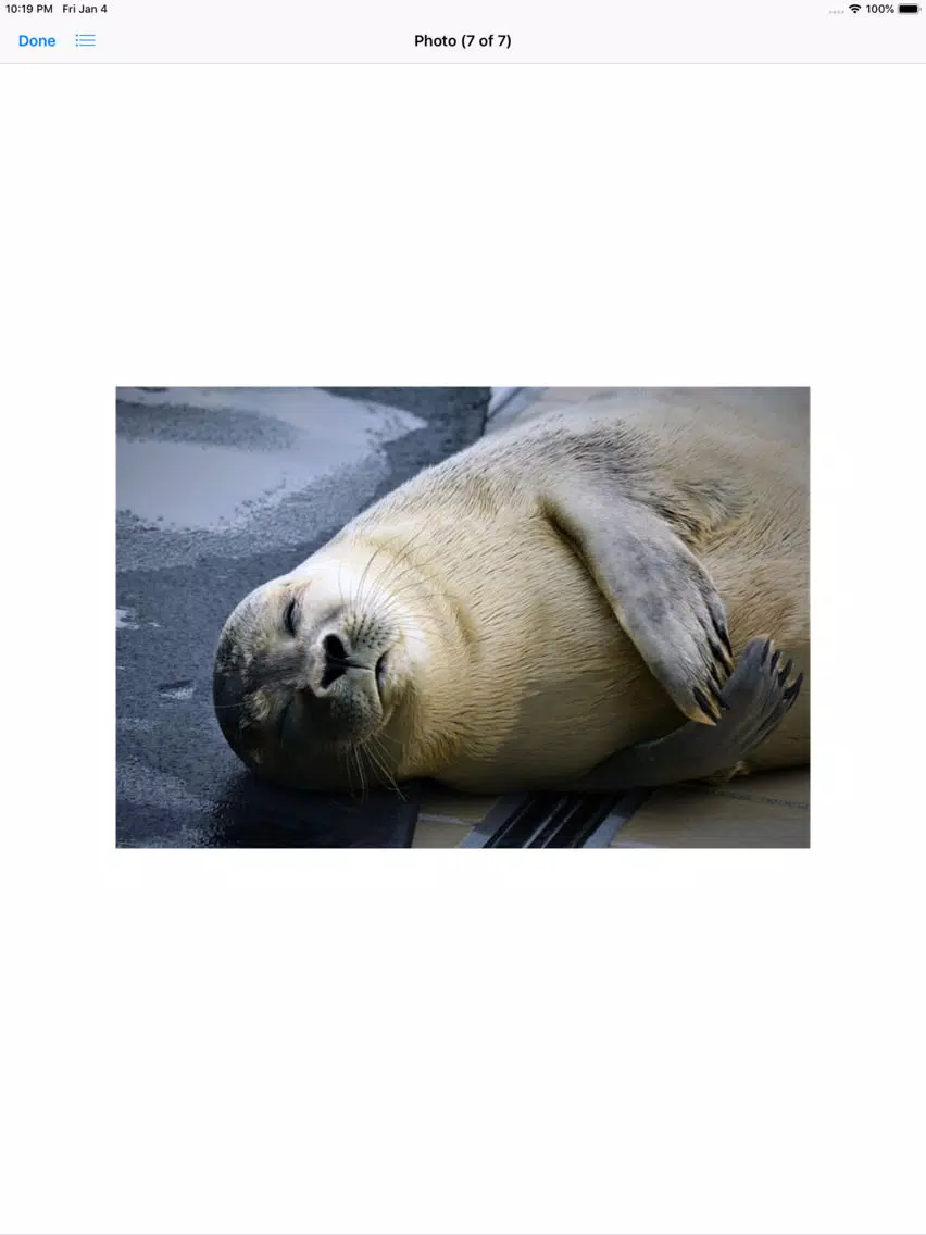 Real Seal Stickers iPad  Screenshots