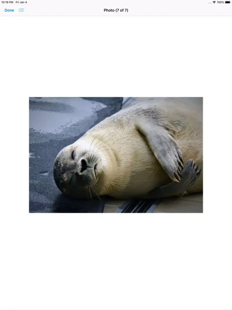 Zrzuty ekranu Real Seal Stickers iPad 