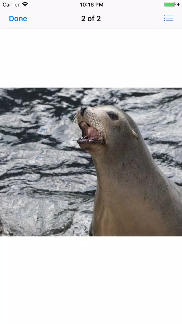Real Seal Stickers Screenshots