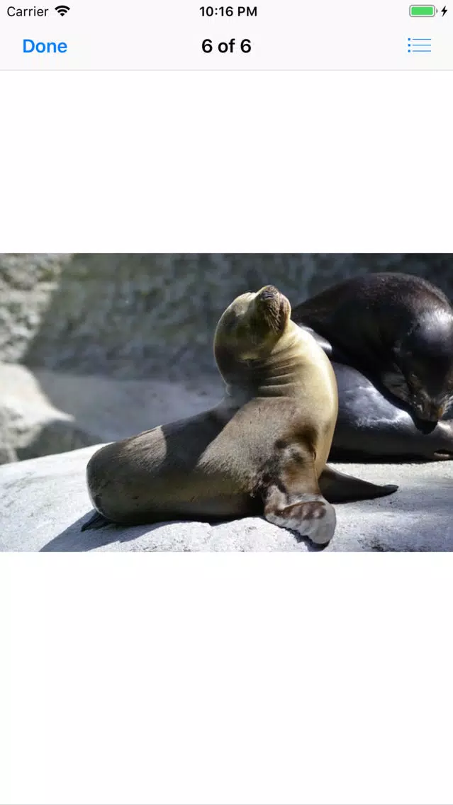 Real Seal Stickers Screenshots