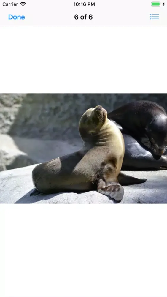 Zrzuty ekranu Real Seal Stickers