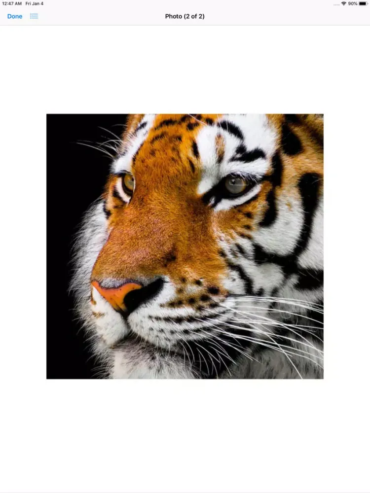 Real Tiger Stickers iPad  Ekran Görüntüleri