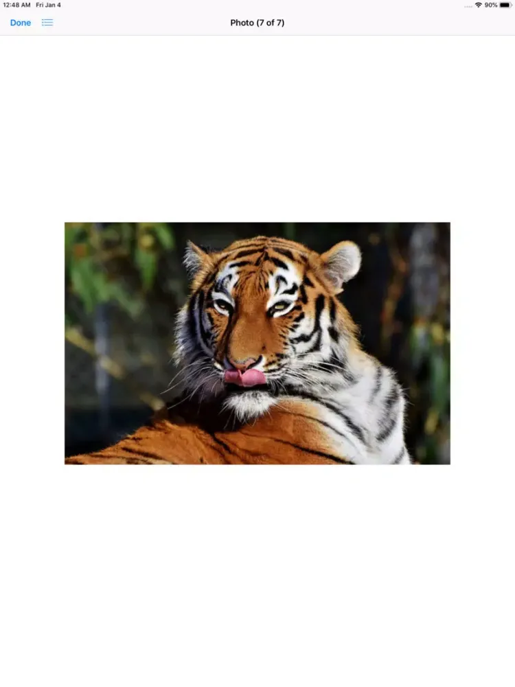 Real Tiger Stickers iPad  Ekran Görüntüleri