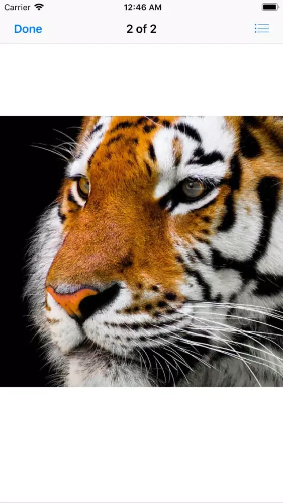 Real Tiger Stickers Ekran Görüntüleri