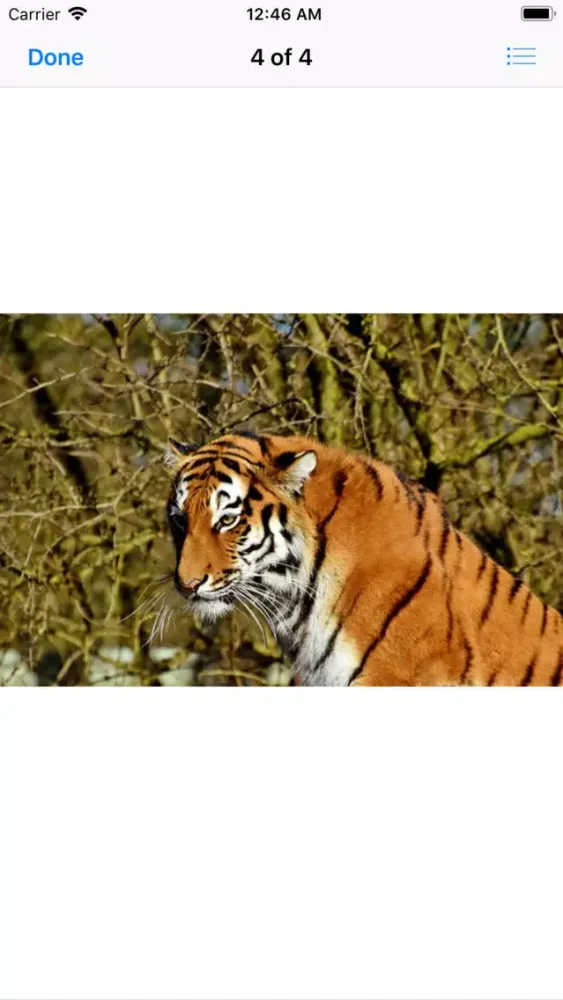 Real Tiger Stickers Ekran Görüntüleri