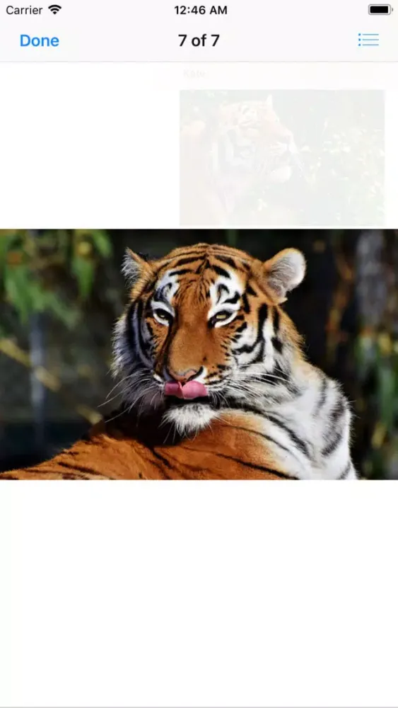 Real Tiger Stickers Ekran Görüntüleri