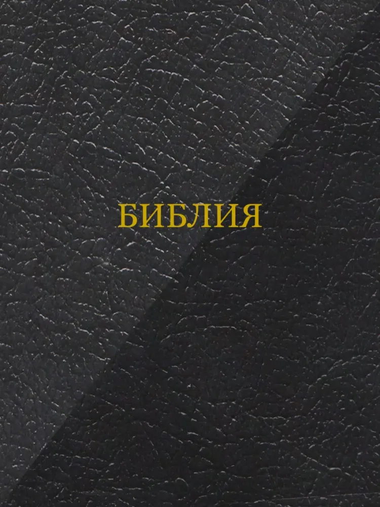 Библия iPad  スクリーンショット