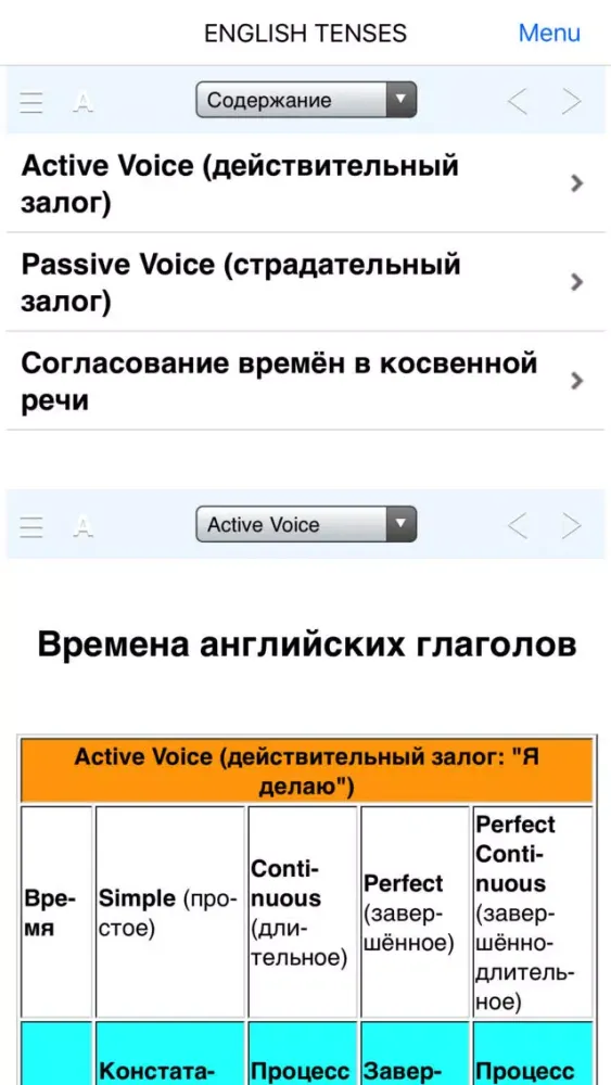 ภาพหน้าจอของ English-Russian dictionary +