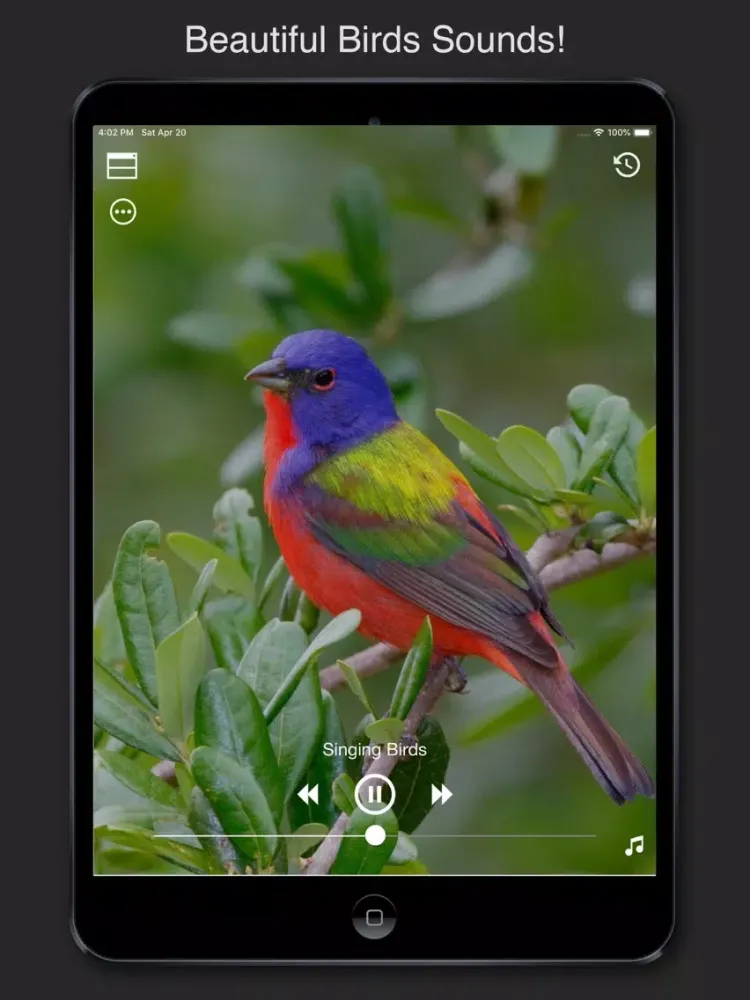 Tangkapan skrin Relaxing Sleeping Sound Melody iPad 