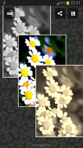 Photo Album Pro Screenshots