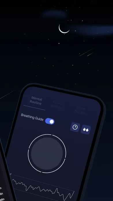 Ảnh chụp màn hình của brid.zzz