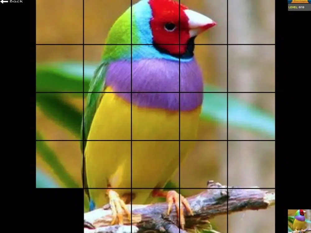 Slide Puzzle Title iPad  Screenshots