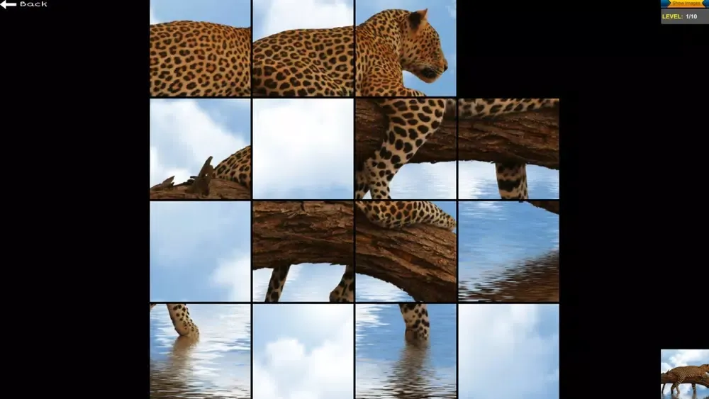Slide Puzzle Title Screenshots
