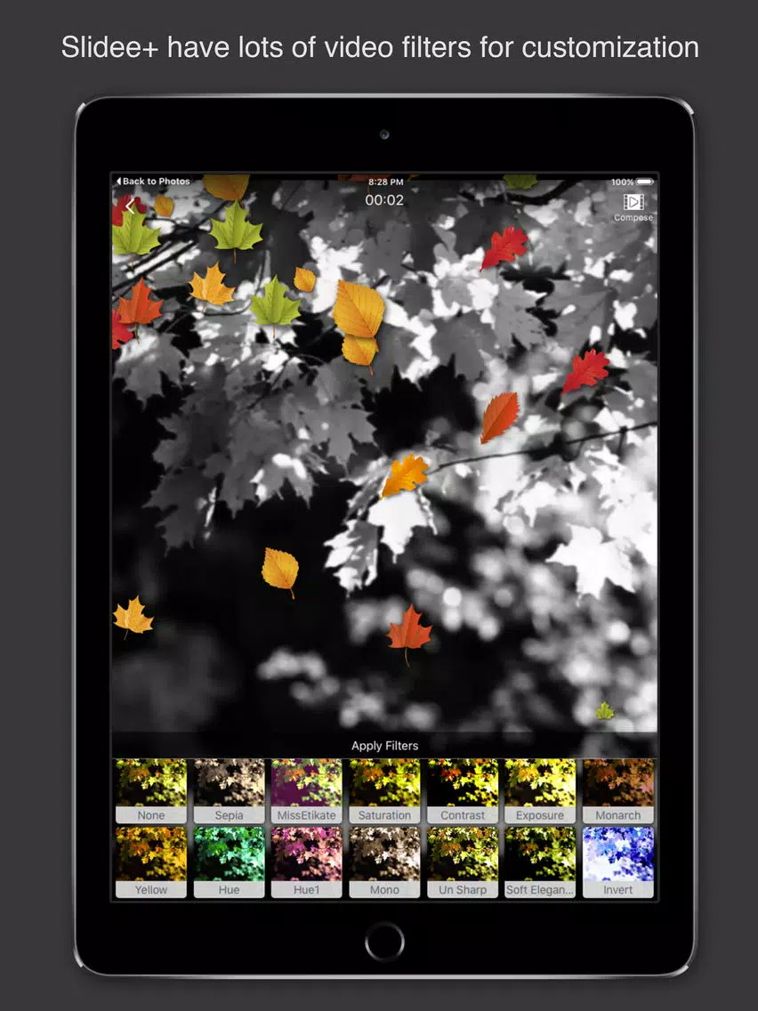 Slidee+ Slideshow Movie Maker & Editor with Music iPad 应用截图