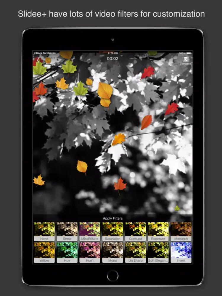 Slidee+ Slideshow Movie Maker & Editor with Music iPad  स्क्रीनशॉट