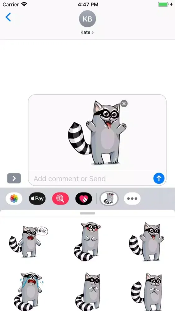 صور Racoon Stickers Pack