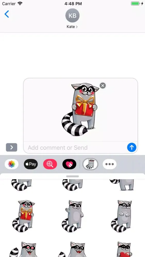 صور Racoon Stickers Pack
