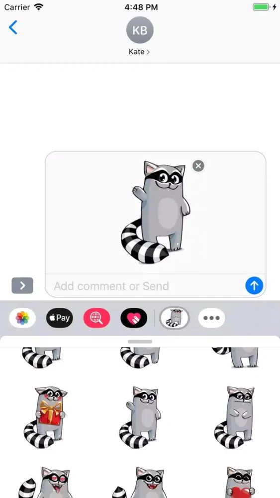 صور Racoon Stickers Pack