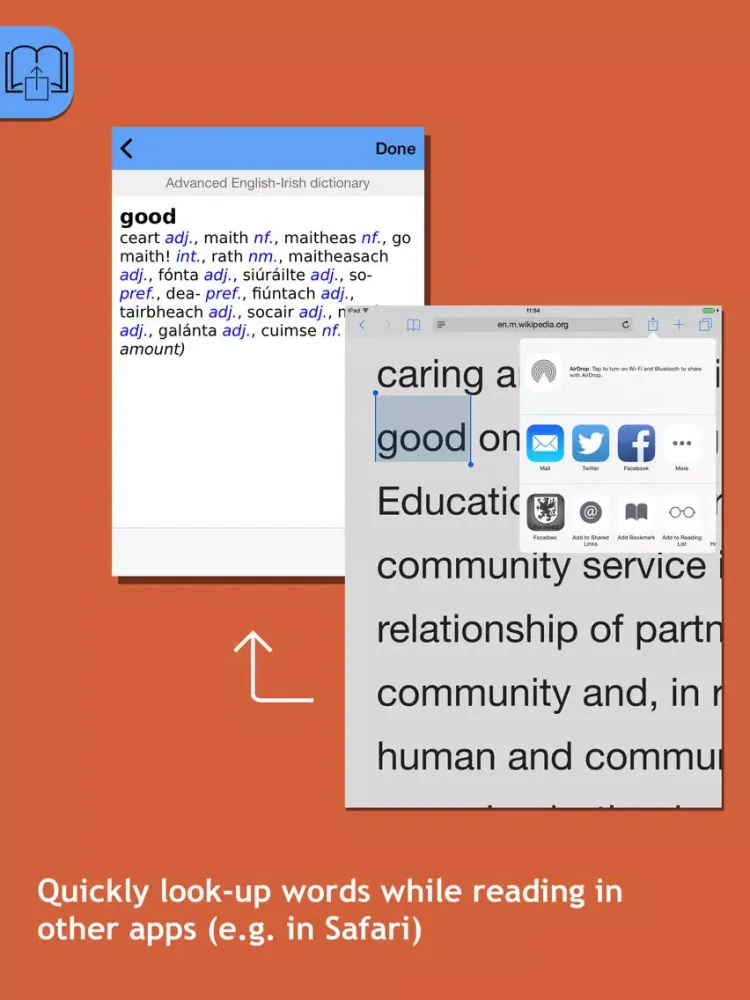 Screenshot di Focalbeo Irish <-> English dictionaries iPad 