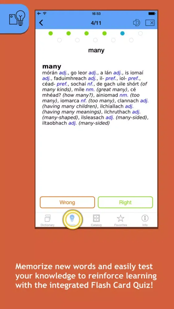Screenshot di Focalbeo Irish <-> English dictionaries