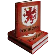 Irish <> English Dictionaries