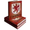 Irish <> English Dictionaries