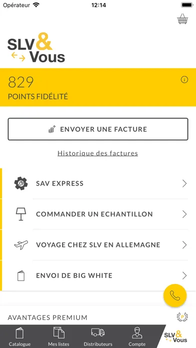 Tangkapan layar SLV France