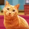 My Cute Pet Cat Life Simulator