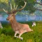 Deer Simulator: Animal Life