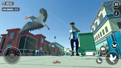 Pigeon Bird Flight Simulator应用截图
