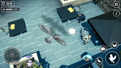 Pigeon Bird Flight Simulator应用截图