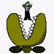 Creeper Plants