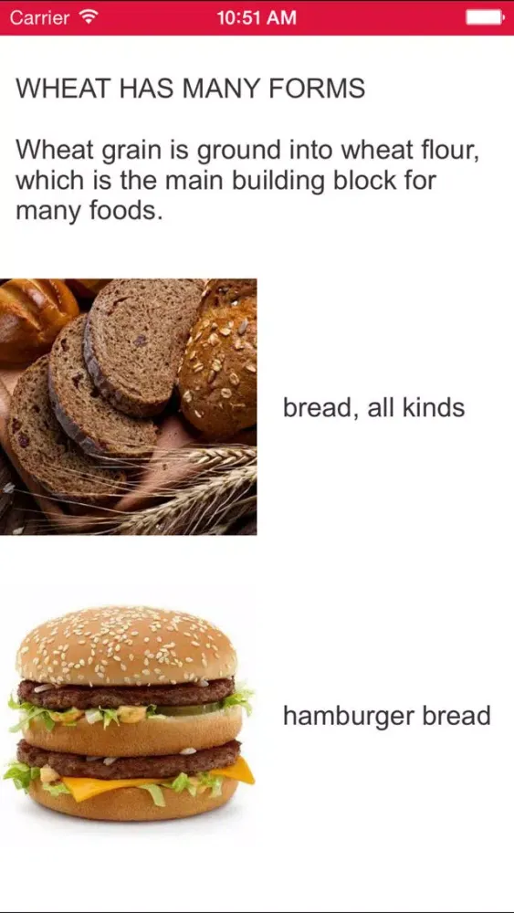 Diet Vow应用截图