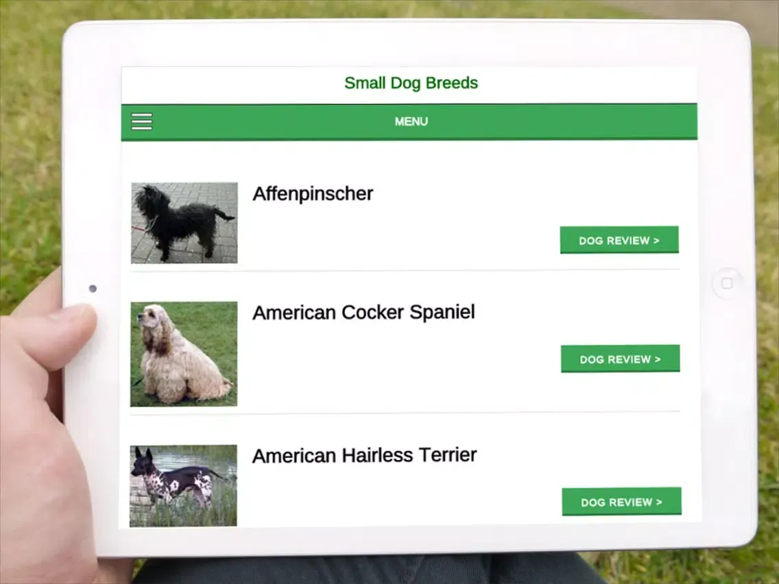 Small Dog Breeds 101 iPad  Ekran Görüntüleri